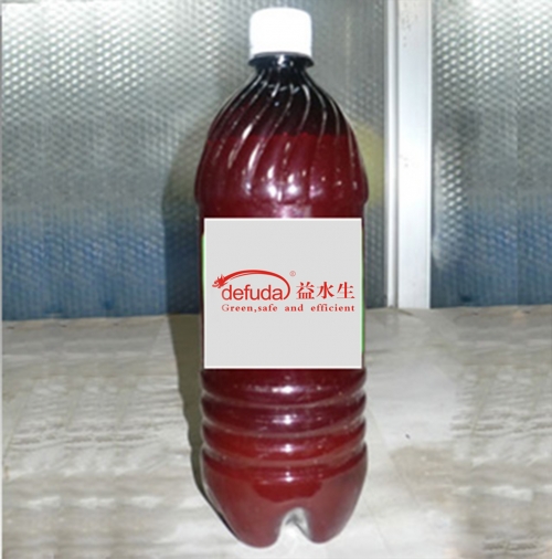 枣庄水产专用丁酸梭菌原液